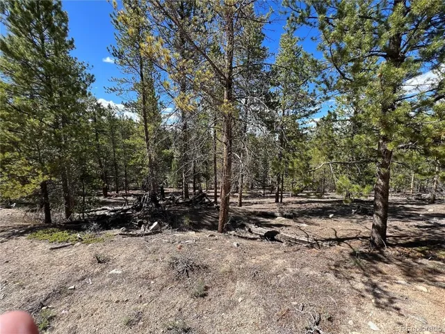 $69,500 | 123 Lodgepole Drive, Leadville, CO 80461
