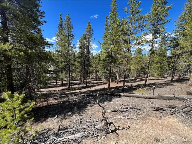 $69,500 | 123 Lodgepole Drive, Leadville, CO 80461