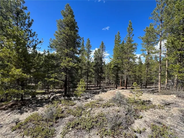 $69,500 | 123 Lodgepole Drive, Leadville, CO 80461