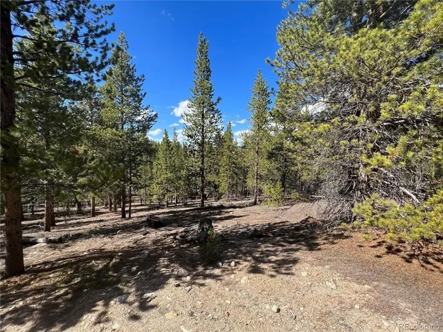 $69,500 | 123 Lodgepole Drive, Leadville, CO 80461