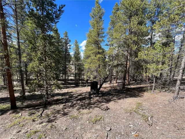 $69,500 | 123 Lodgepole Drive, Leadville, CO 80461