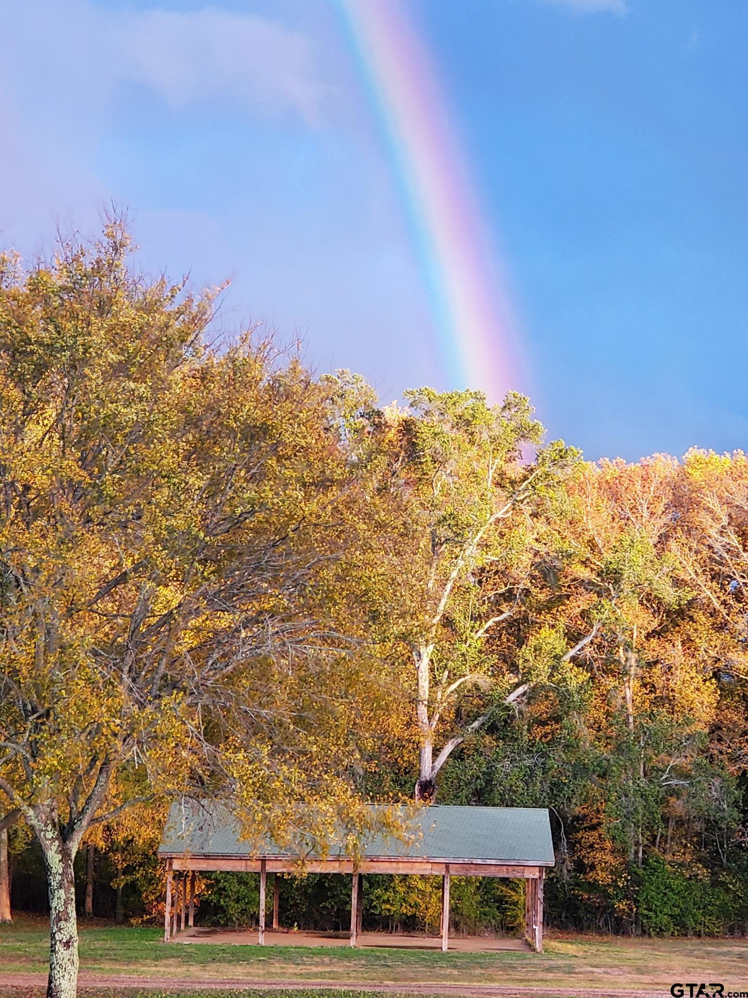 750 VZ County Road Ben Wheeler, TX 75754 - Photo 43 of 45