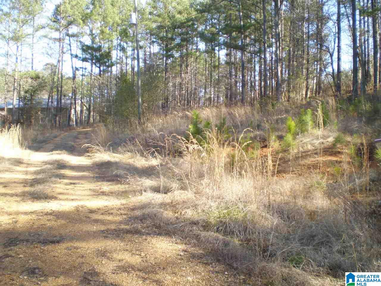 170 Pine Ridge Lane, Unit TRACT A Pell City, AL 35125 - Photo 13 of 15