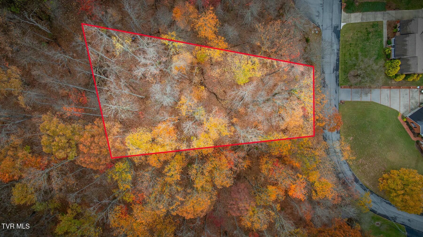 Tbd Tbd Oak Forest, Unit 25 Kingsport, TN 37664 - Photo 1 of 2 tempImage0xaGgE