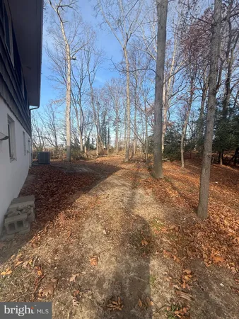 a view of a yard with plants and trees