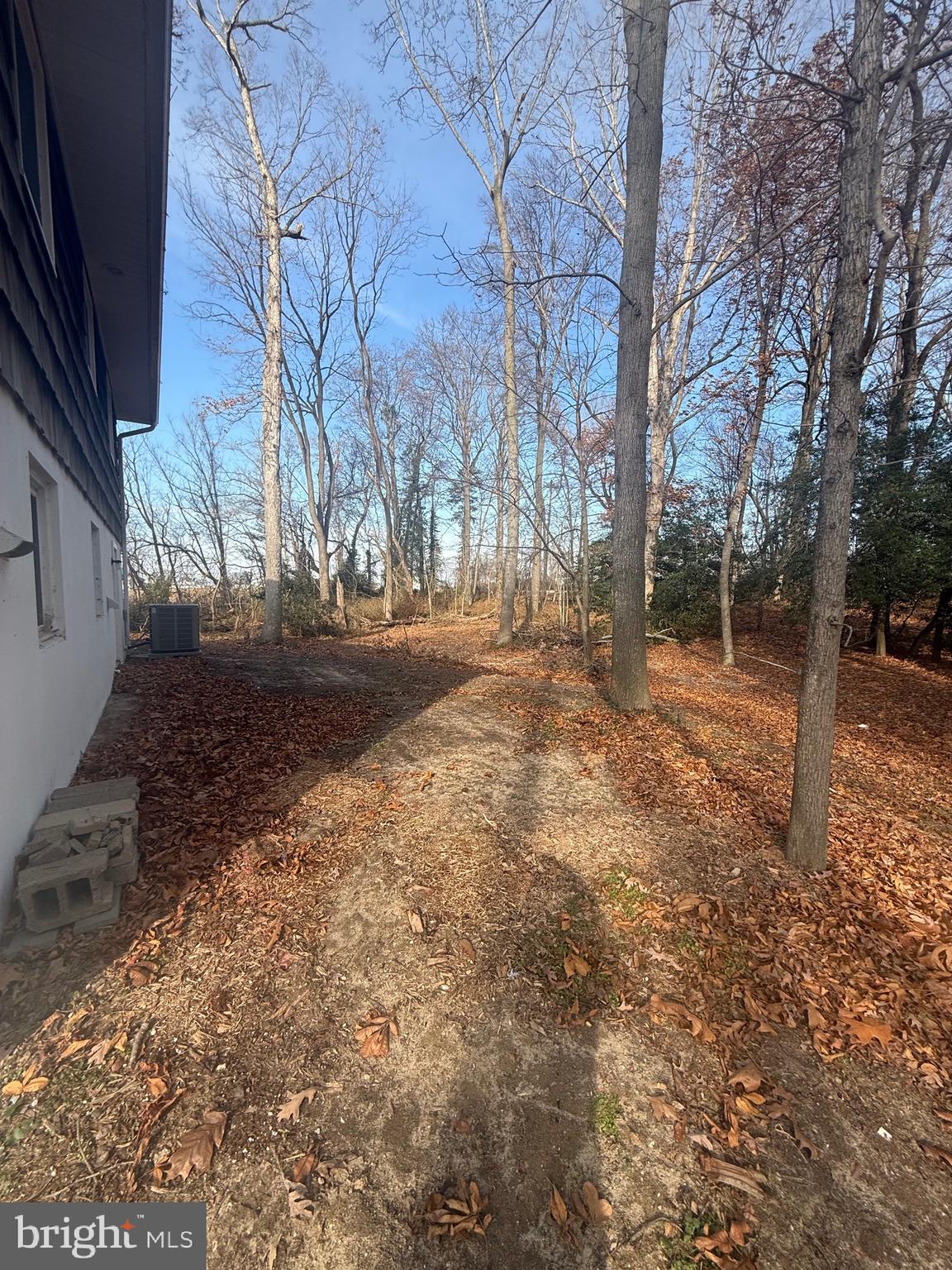 8859 Clendaniel Pond Road Lincoln, DE 19960 - Photo 6 of 25 a view of a yard with plants and trees