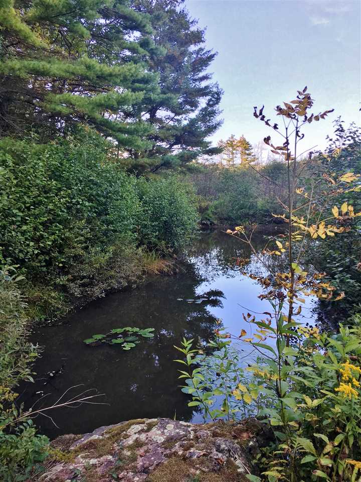 34 Partridge Road Hanover, NH 03750 - Photo 26 of 36