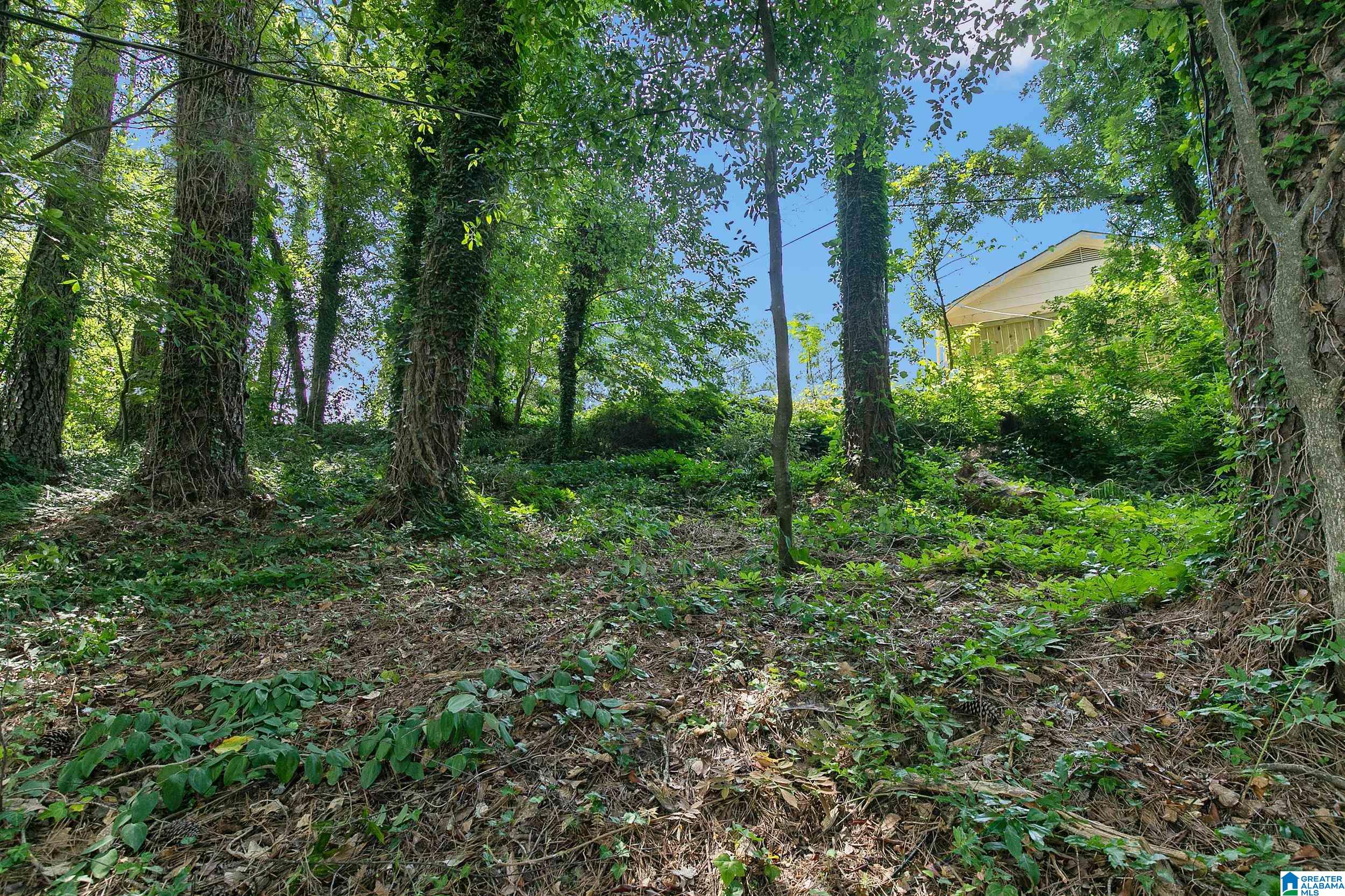 4117 Winston Way Birmingham, AL 35213 - Photo 35 of 69