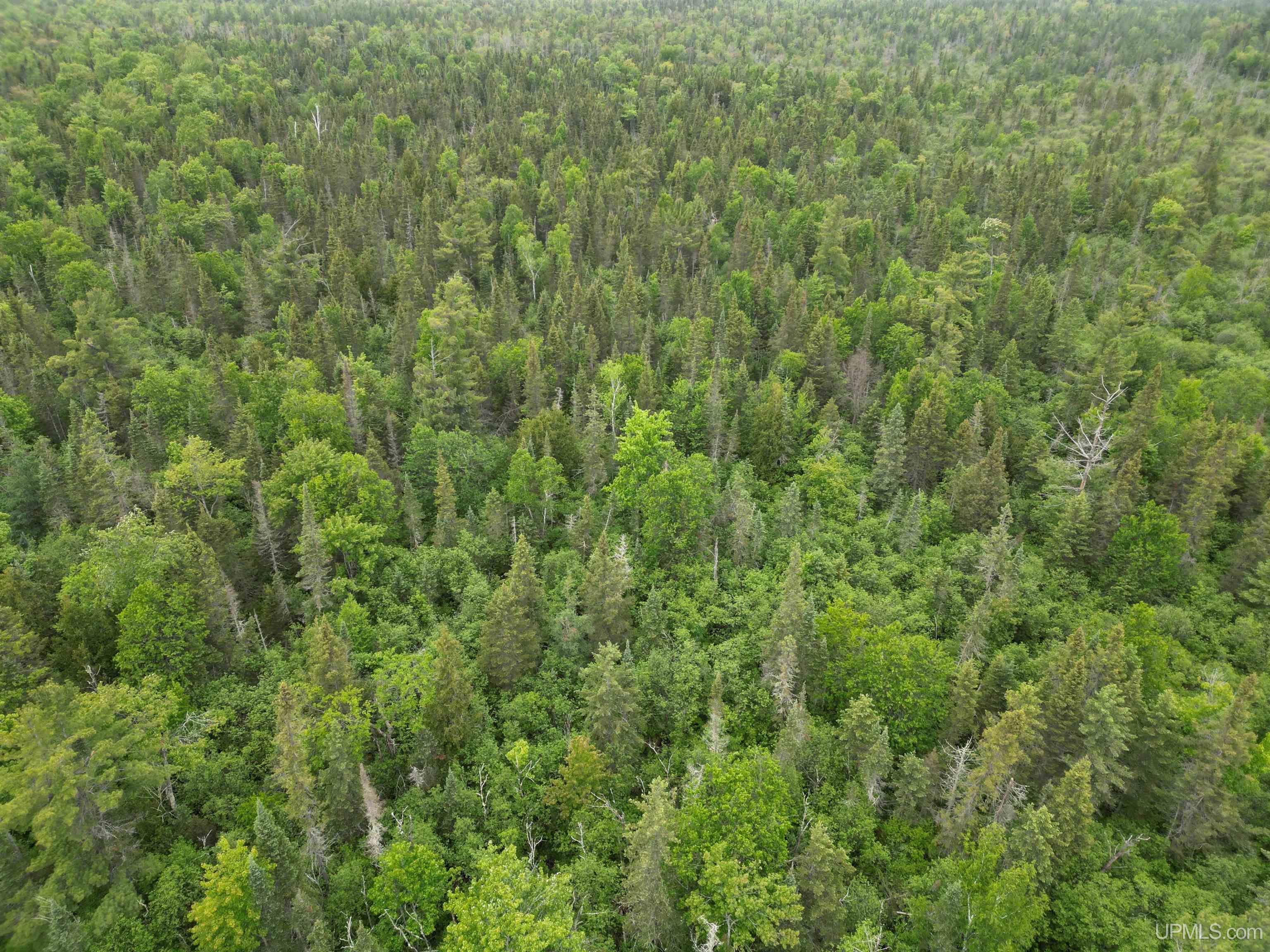 25 Ee 25 Road Rapid River, MI 49878 - Photo 4 of 7