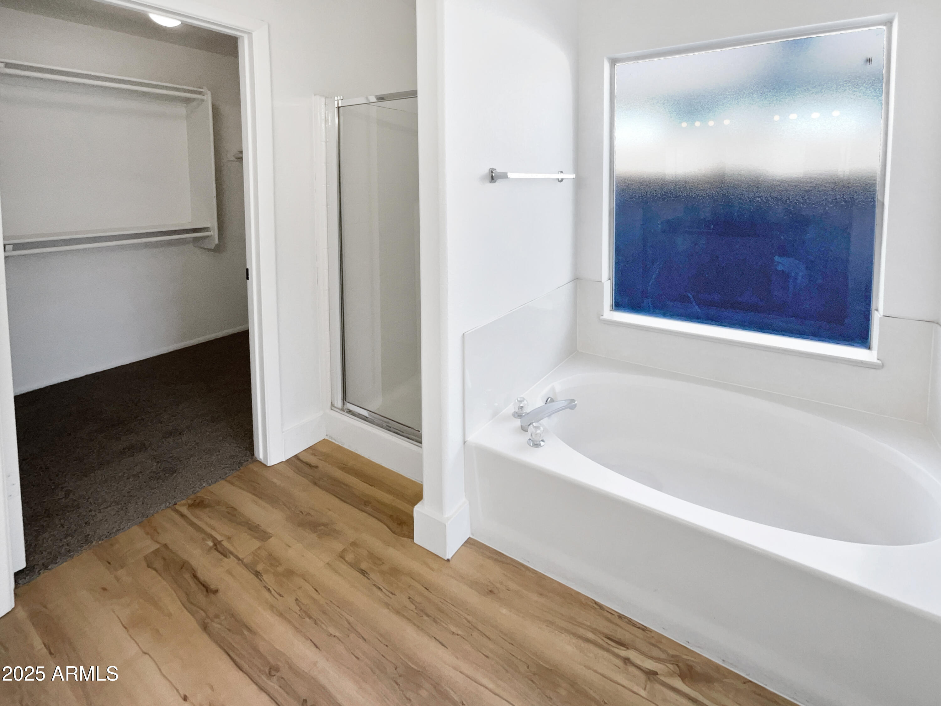 317 East Nunneley Road Gilbert, AZ 85296 - Photo 23 of 27 a bathroom with a bathtub and a shower
