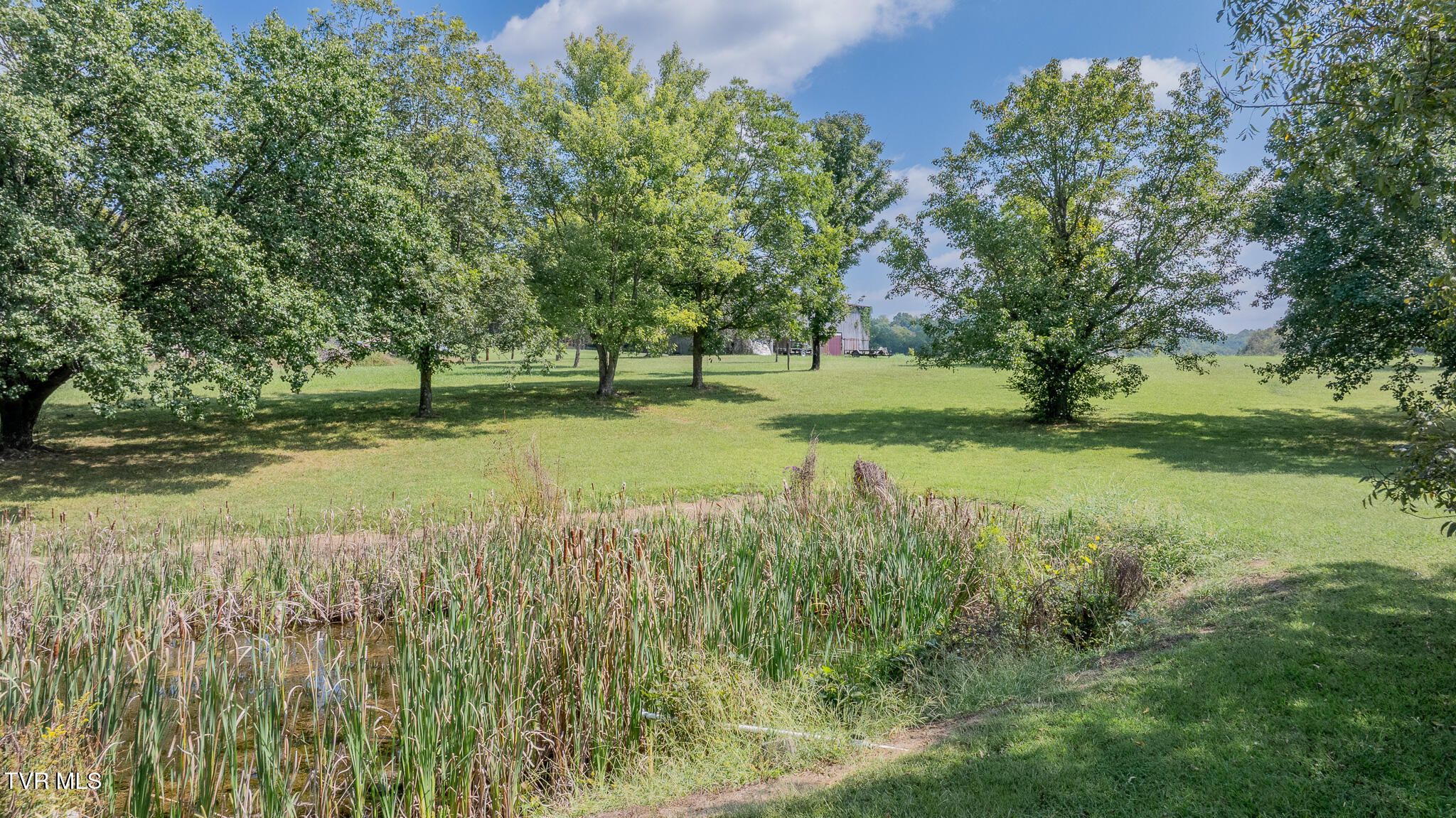 1325 Mink Creek Road Midway, TN 37809 - Photo 47 of 54 dji_fly_20260916_132028_0970_17895794867