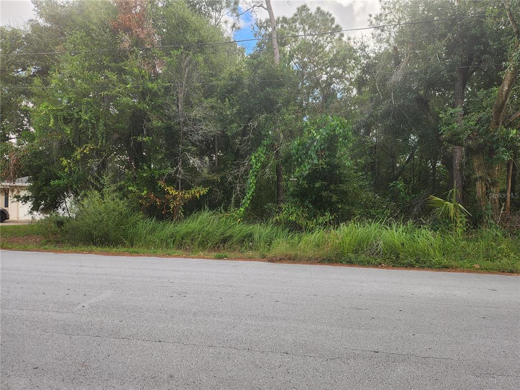 Silver Spring Shores Ocala, FL 34470 - Photo 2 of 5 a view of a yard and basketball court
