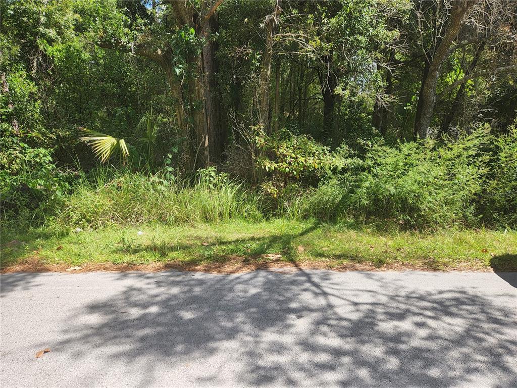 Silver Spring Shores Ocala, FL 34470 - Photo 4 of 5 a view of yard