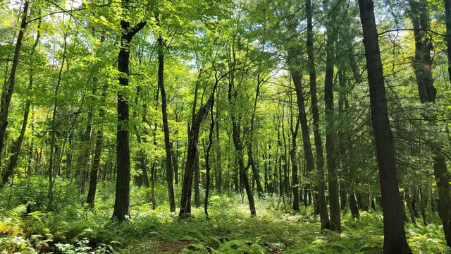 $1,499,000 | N5314 765th Street, Elk Mound, WI 54739