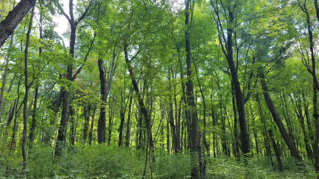 $1,499,000 | N5314 765th Street, Elk Mound, WI 54739