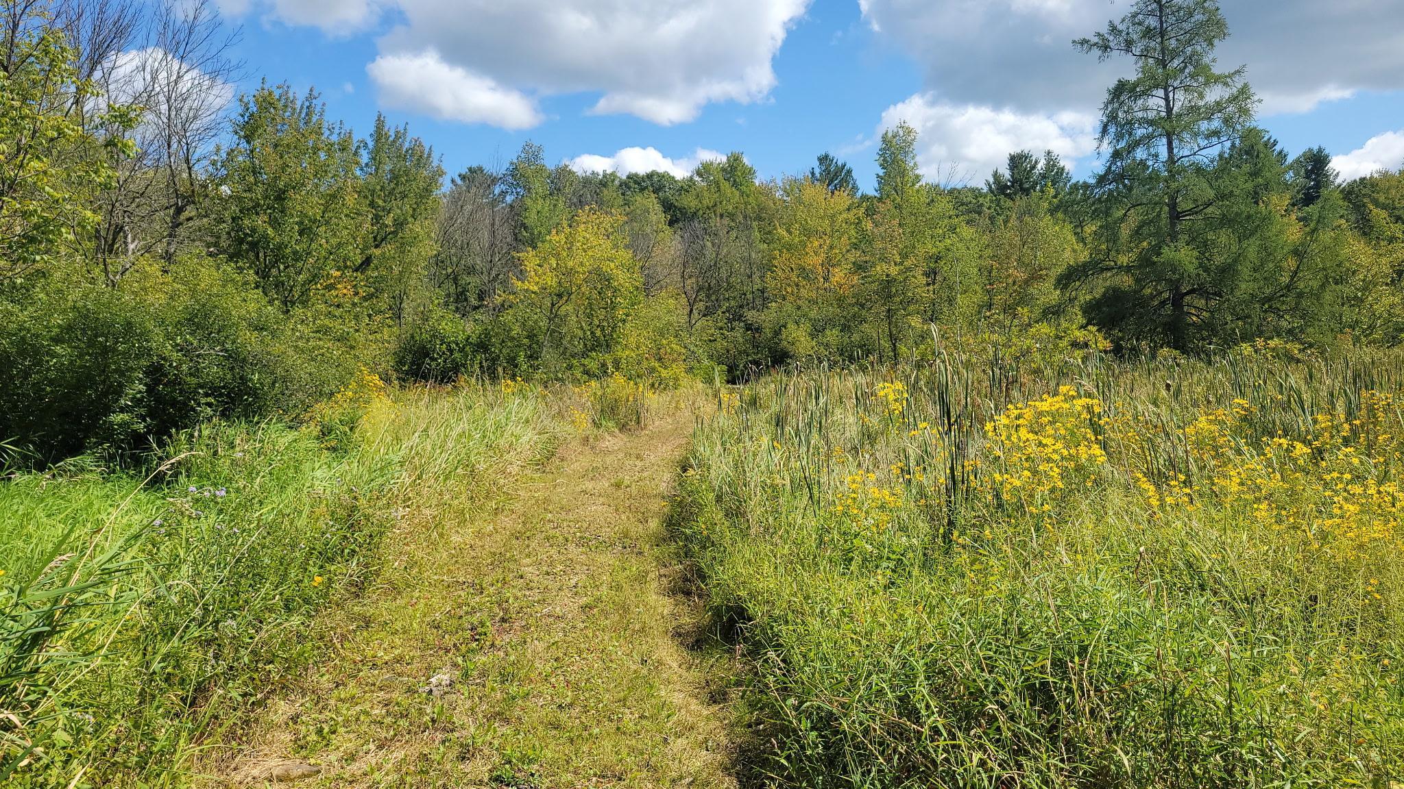 N5314 765th Street Elk Mound, WI 54739 - Photo 26 of 31