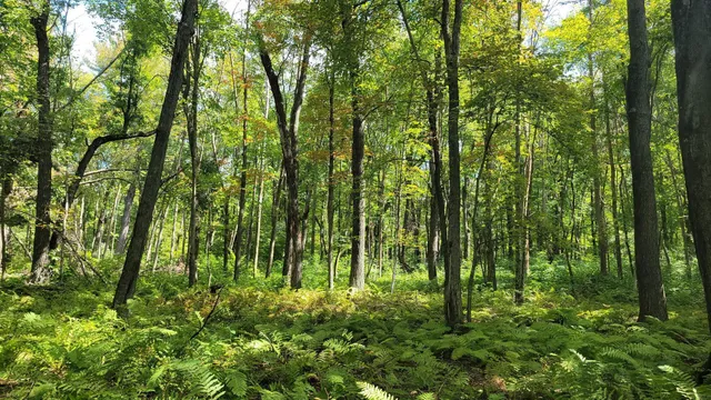 $1,499,000 | N5314 765th Street, Elk Mound, WI 54739