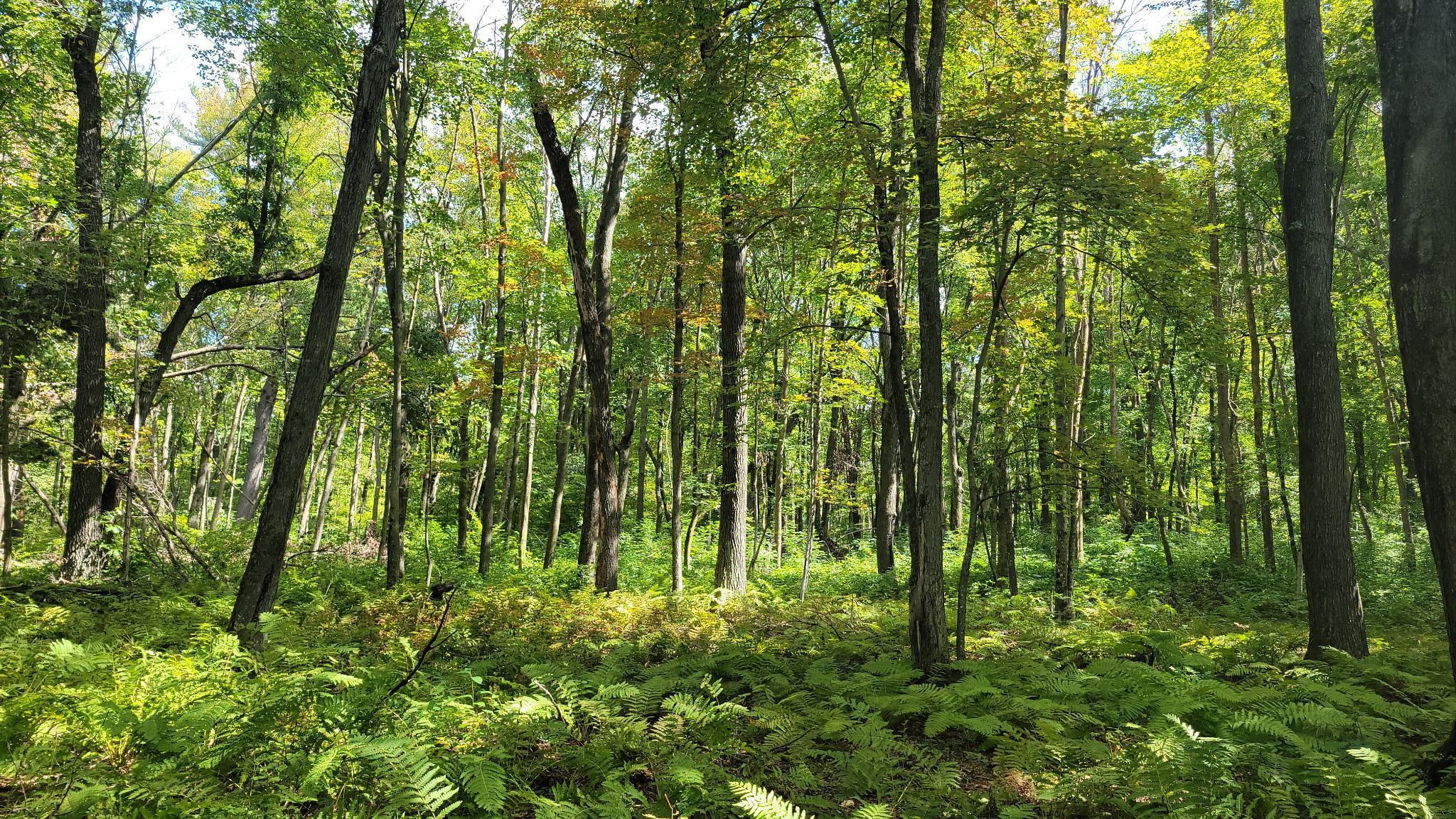 N5314 765th Street Elk Mound, WI 54739 - Photo 29 of 31