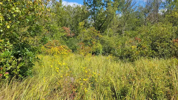 $1,200,000 | N5314 765th Street, Elk Mound, WI 54739