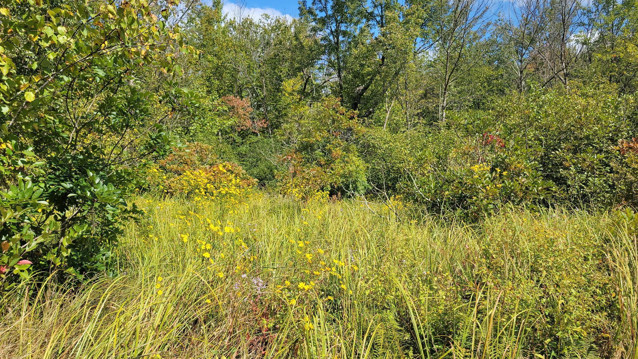 N5314 765th Street Elk Mound, WI 54739 - Photo 30 of 31