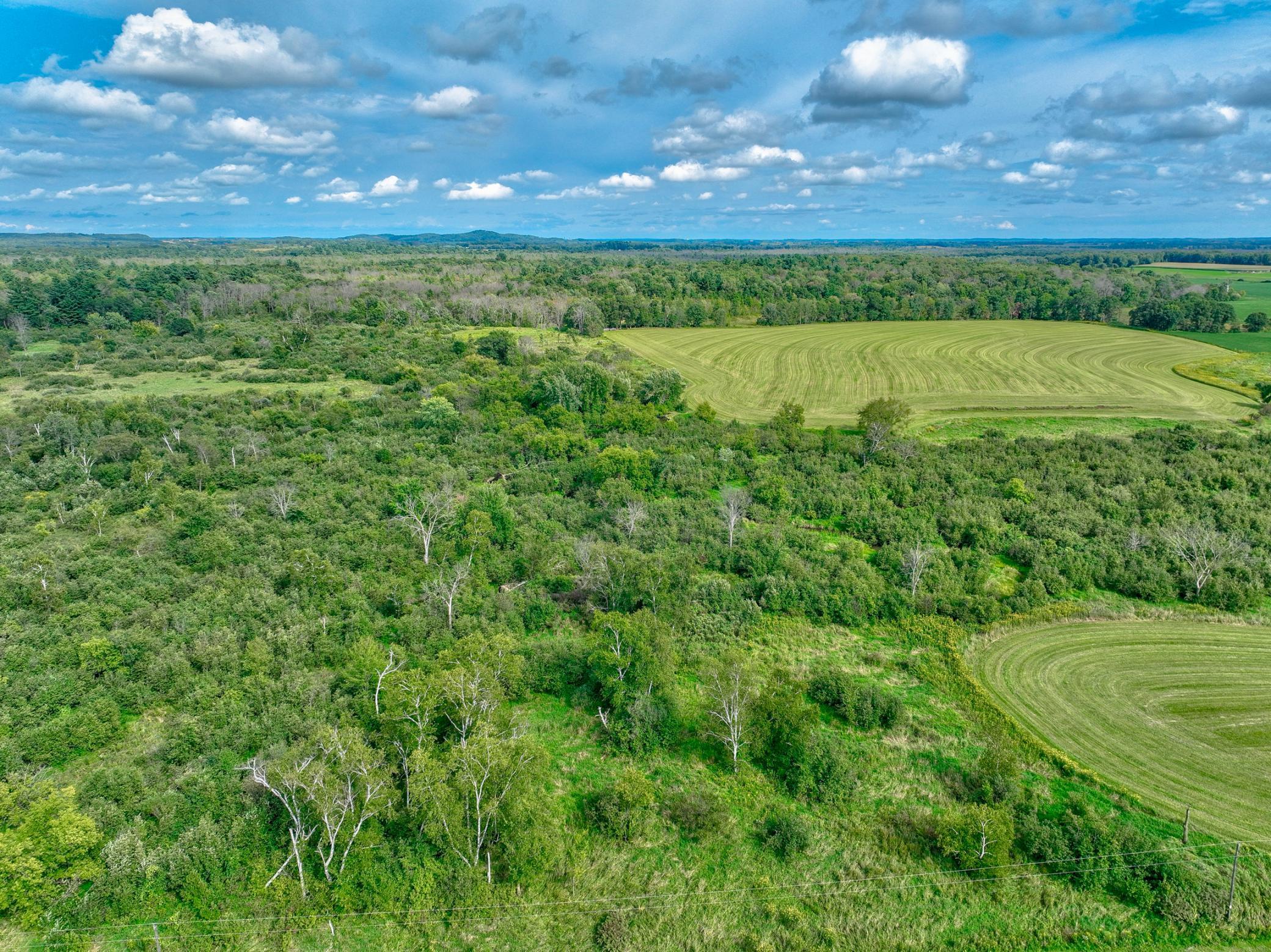 N5314 765th Street Elk Mound, WI 54739 - Photo 3 of 31
