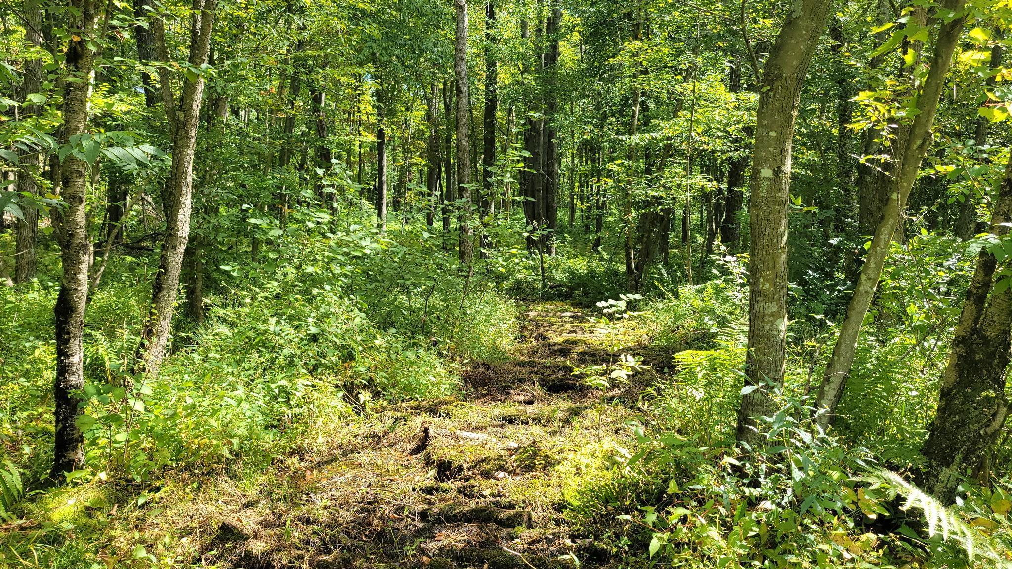 N5314 765th Street Elk Mound, WI 54739 - Photo 31 of 31