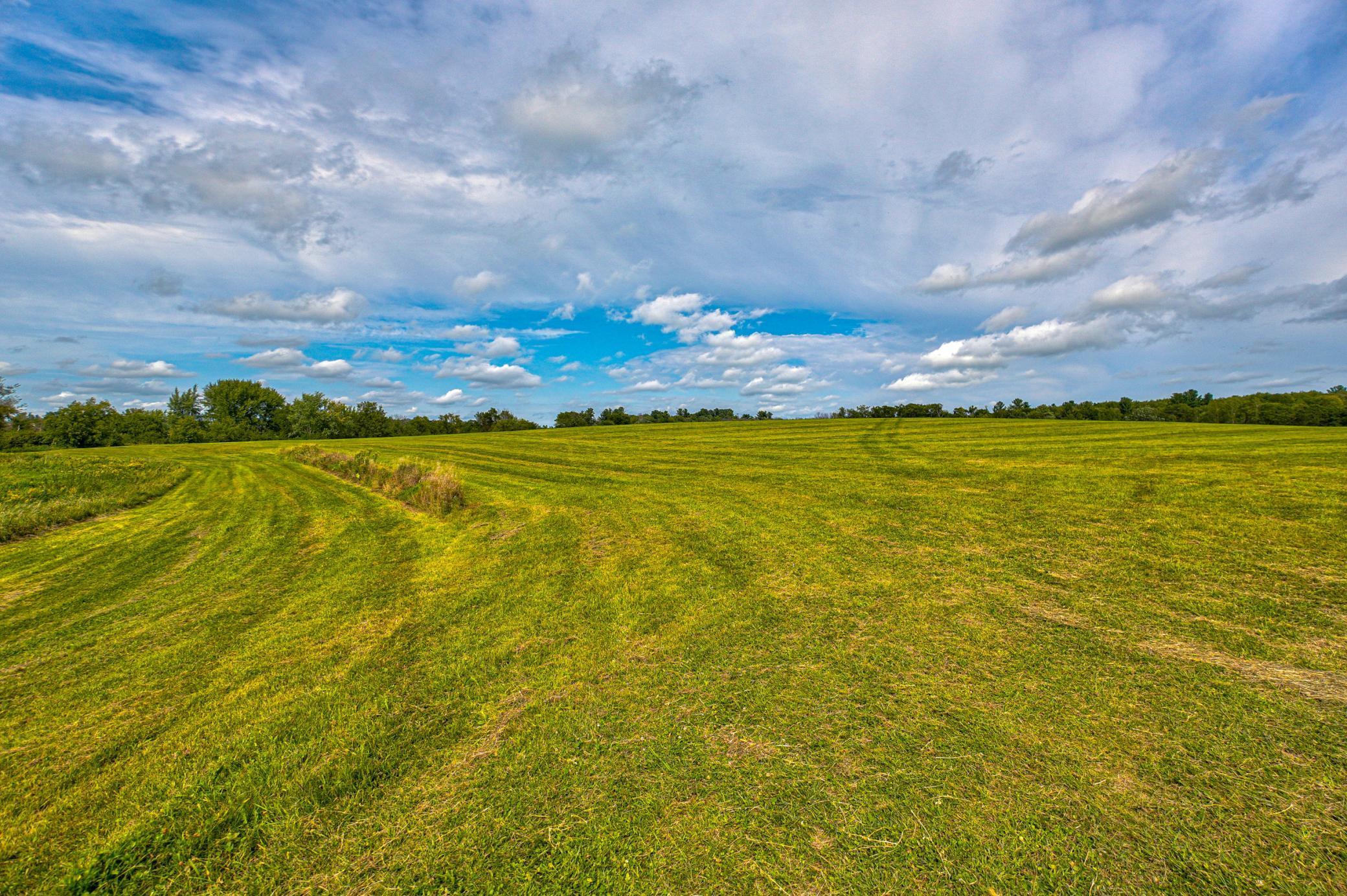 N5314 765th Street Elk Mound, WI 54739 - Photo 5 of 31