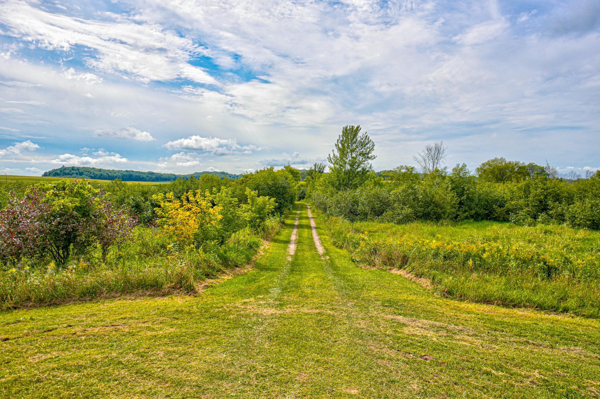 N5314 765th Street Elk Mound, WI 54739 - Photo 6 of 31