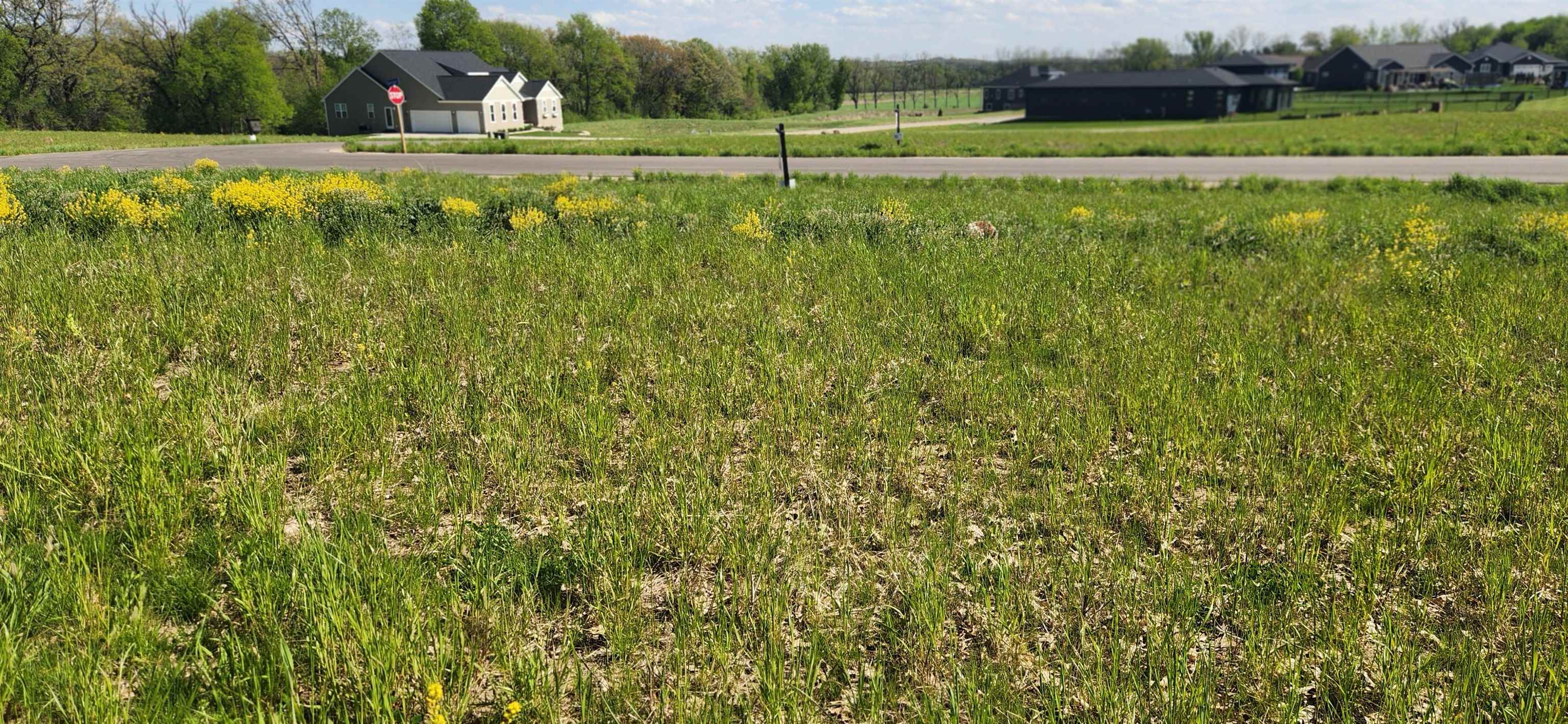 Lot 33 Wooded Ridge Cottage Grove, WI 53527 - Photo 5 of 30