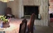 504 Mifflin Boulevard Reading, PA 19607 - Photo 5 of 14 Dining Rm - View 2