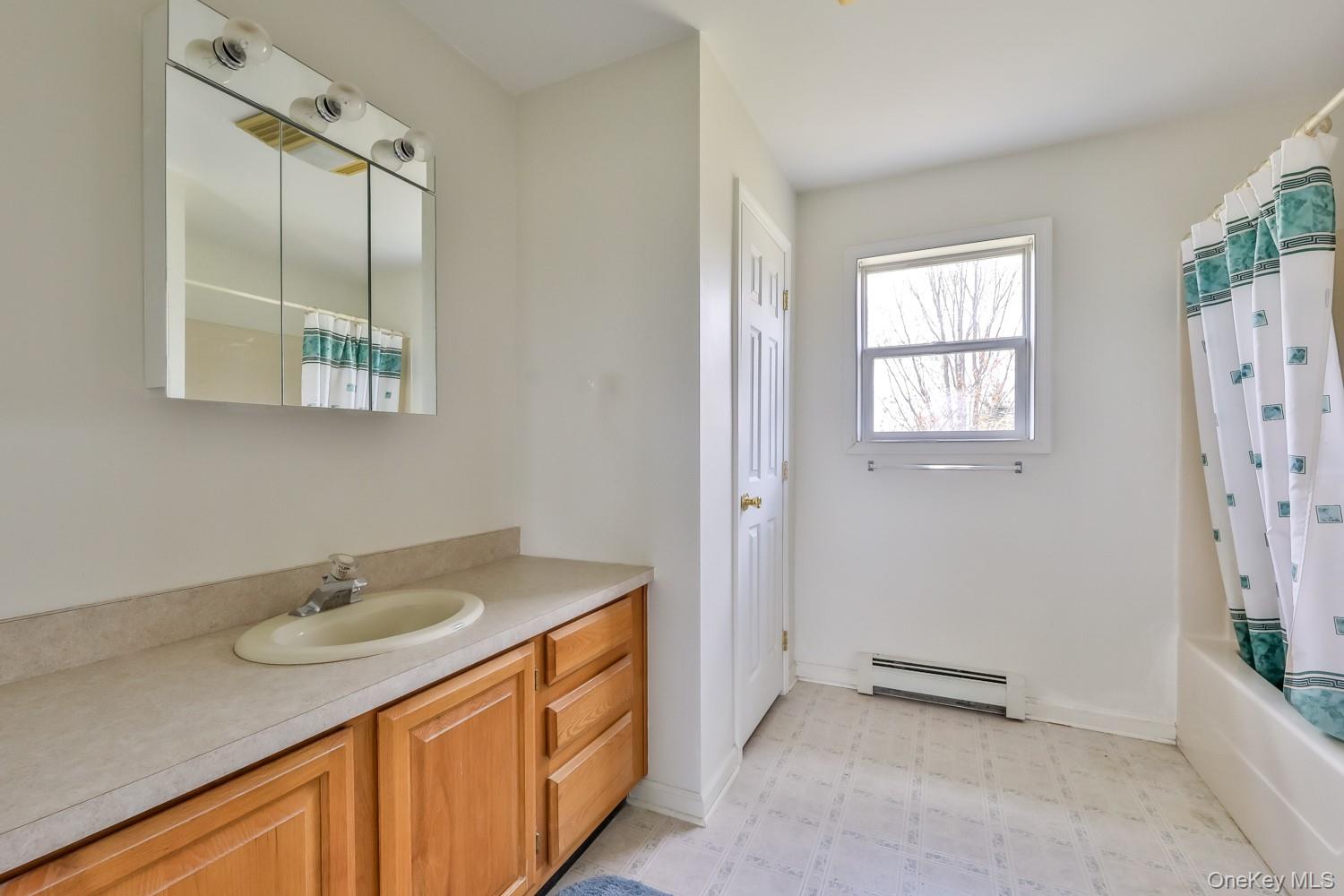 559 Case Road Ashland, NY 12496 - Photo 18 of 33 a bathroom with a sink a vanity and a mirror