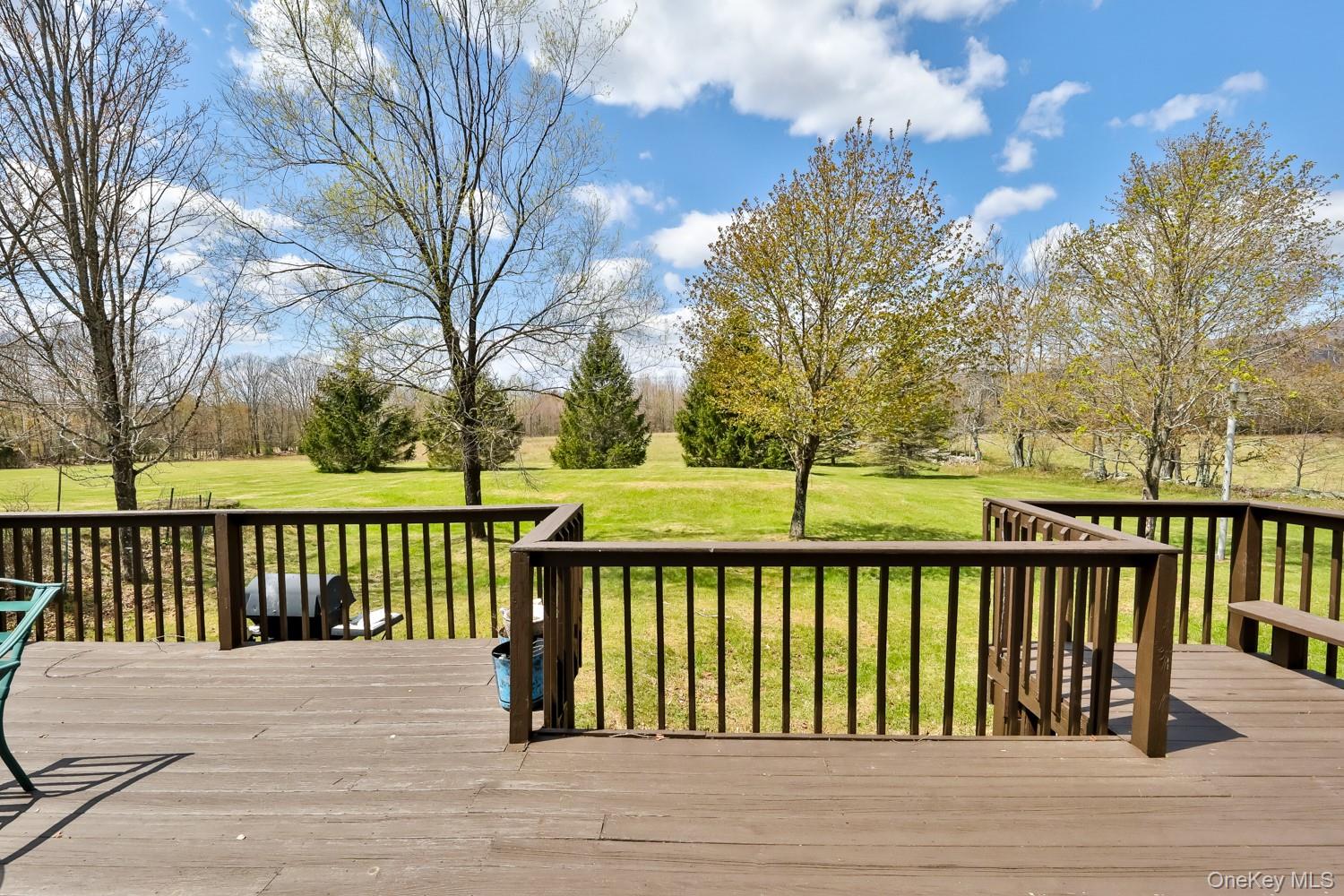 559 Case Road Ashland, NY 12496 - Photo 30 of 33 a view of a wooden roof deck