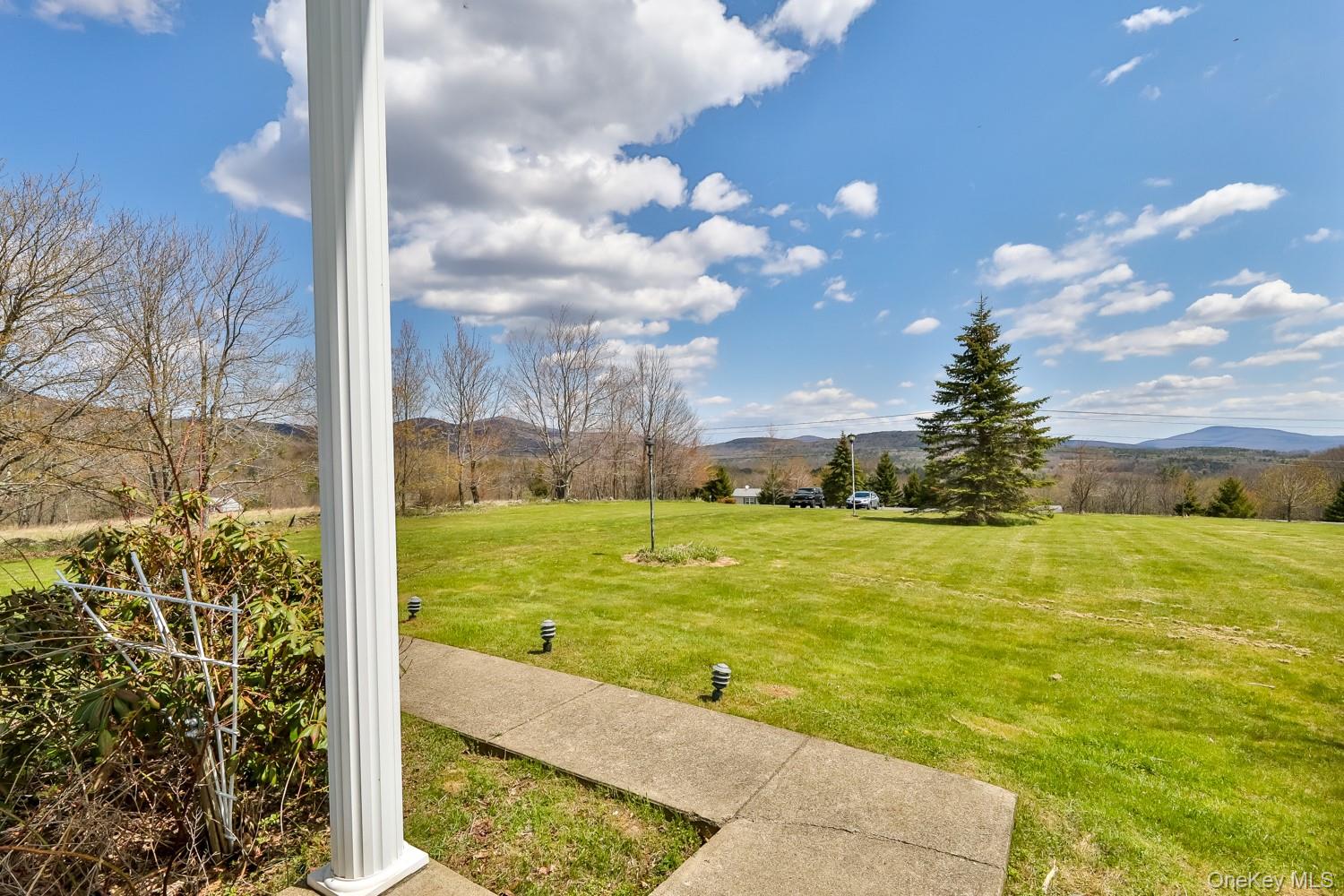 559 Case Road Ashland, NY 12496 - Photo 4 of 33