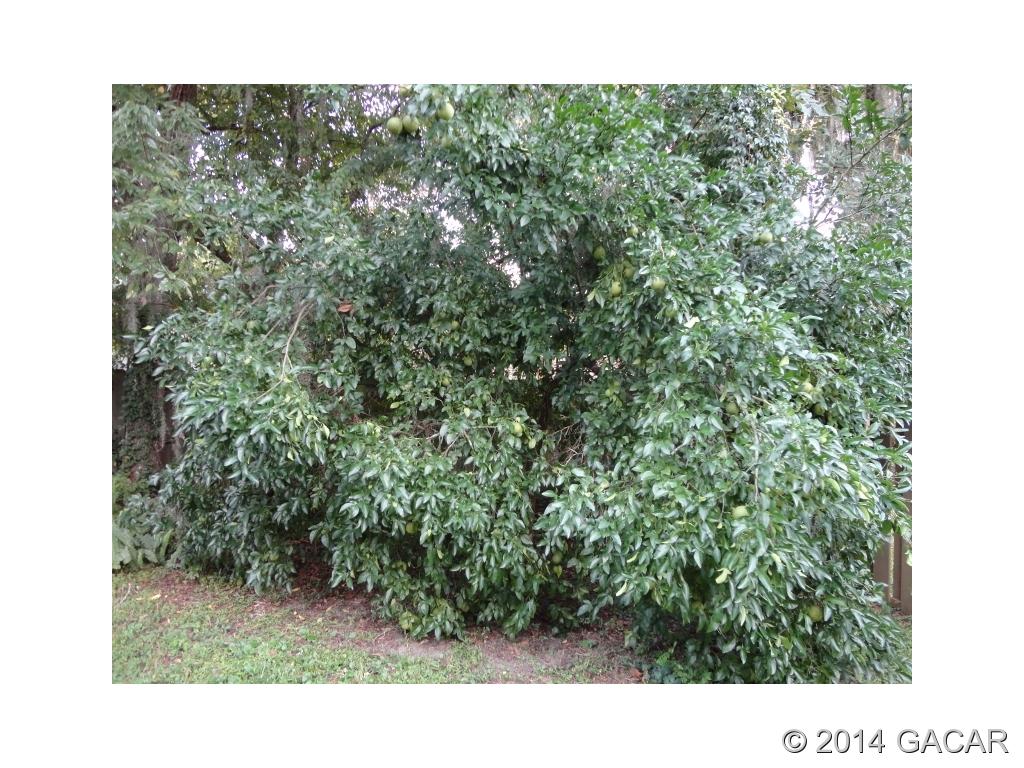 7619 Southwest 50th Road Gainesville, FL 32608 - Photo 14 of 17 Screened Lanai w/Shade!