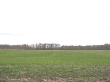 ... Community Beach Road Centralia, IL 62801 - Photo 1 of 1 Gallery Image 1