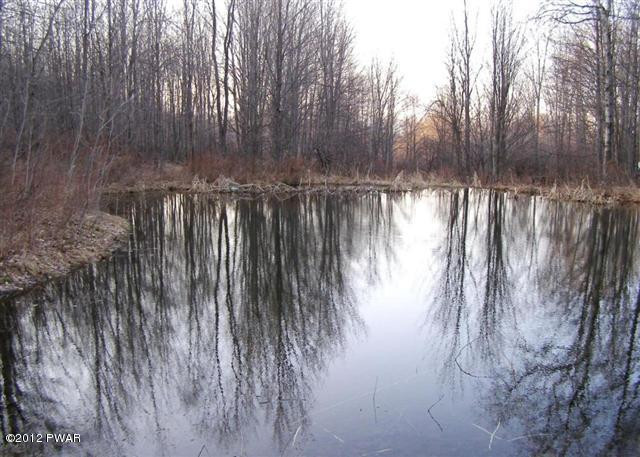 12 Deer Run Road Susquehanna, PA 18847 - Photo 15 of 49 Pond