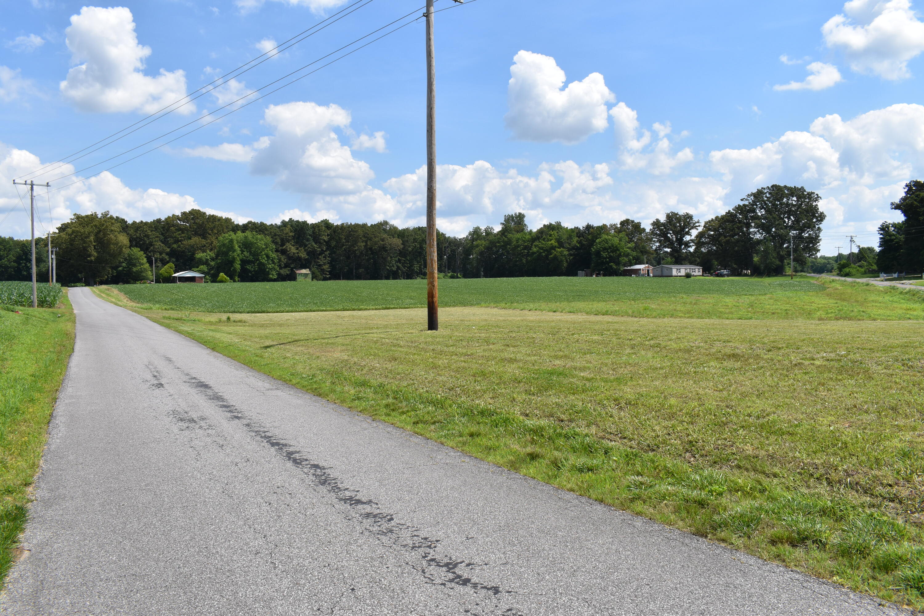 1975 Page Road Sedalia, KY 42079 - Photo 7 of 8 DSC_0173