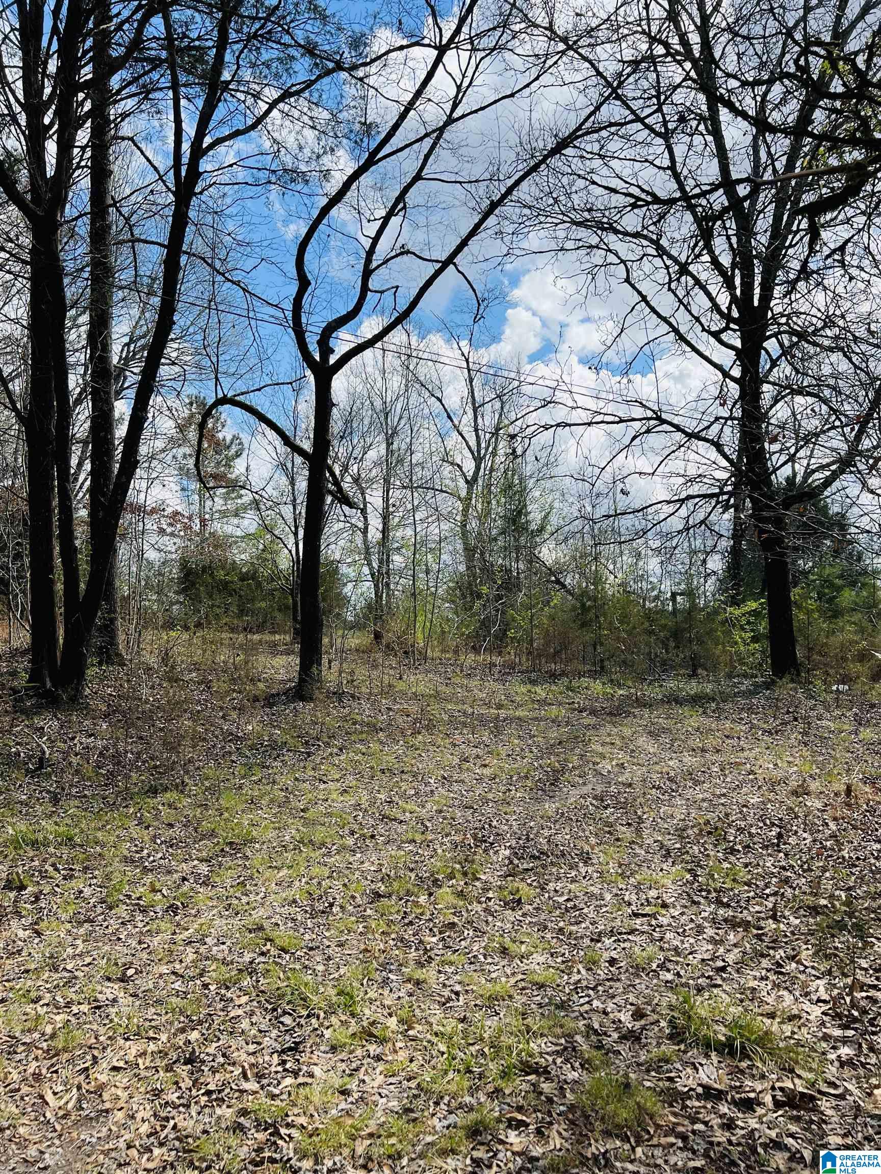 Stewart Road, Unit 6 7 & 8 Riverside, AL 35135 - Photo 4 of 4
