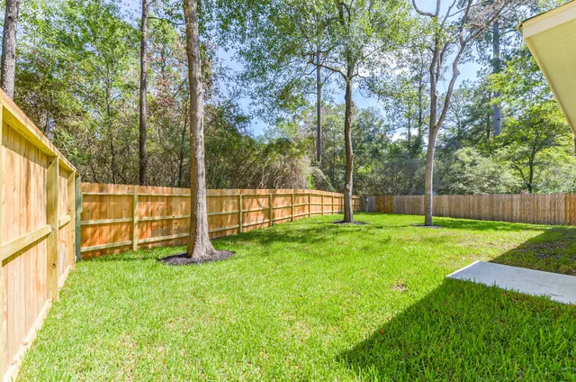 a view of a backyard with plants and large tree
