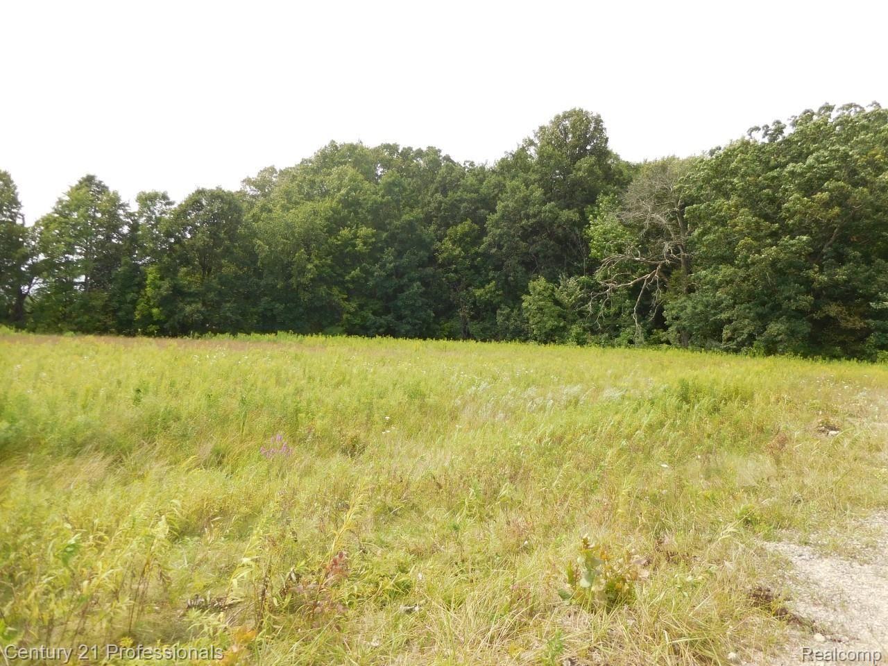 0 Church Road Imlay City, MI 48444 - Photo 13 of 33 16.jpg