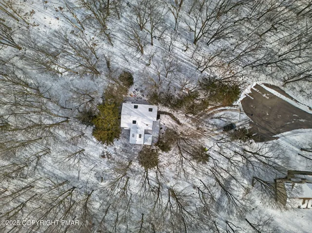 a view of a yard with a tree