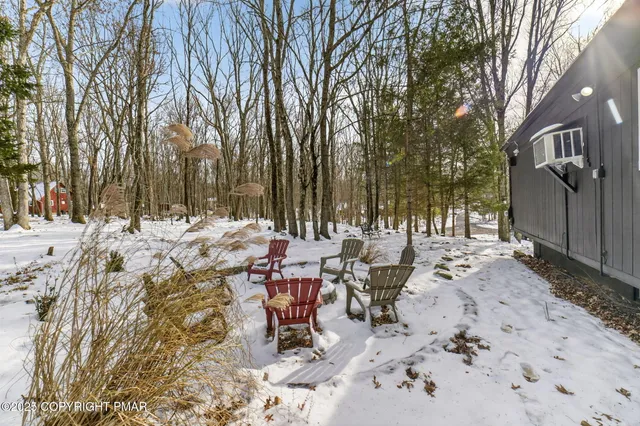 a view of a backyard with large trees