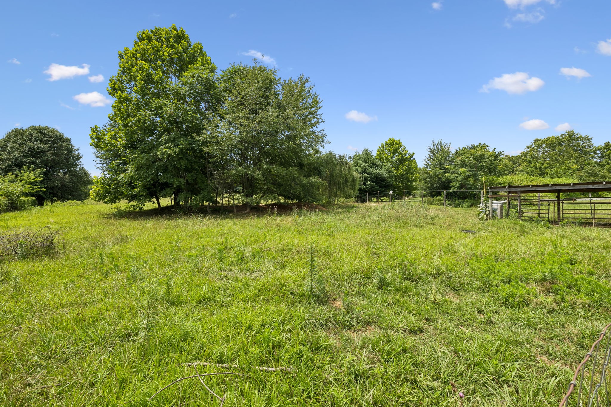 3384 Maxie Jones Road Springfield, TN 37172 - Photo 47 of 66