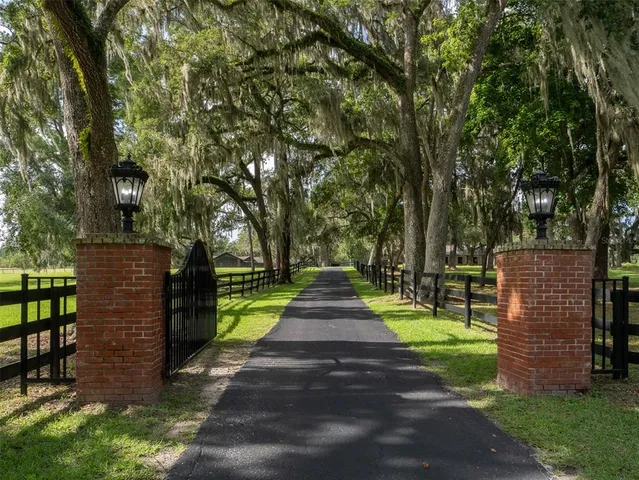 a view of park with tree s
