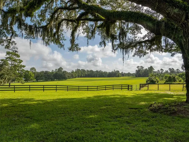 a view of a garden with a lake