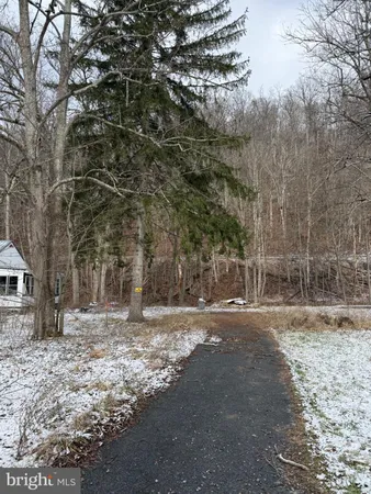 a backyard of a house with large trees and a house
