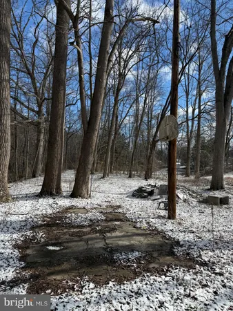 a view of a backyard with large trees