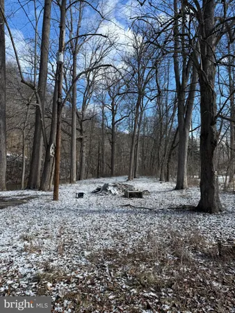 a view of outdoor space with lots of trees