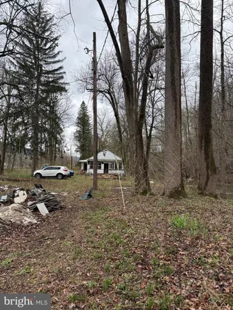 a view of yard with trees