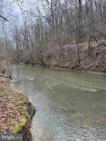 a view of a house with backyard and trees